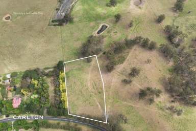 Farm Sold - NSW - Alpine - 2575 - Tranquil Acreage Retreat  (Image 2)