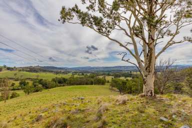 Farm For Sale - NSW - Dungog - 2420 - 'Cherry Tree'  (Image 2)