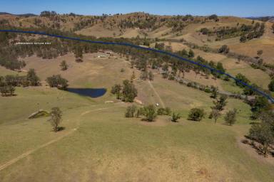 Farm For Sale - NSW - Dungog - 2420 - 'Cherry Tree'  (Image 2)