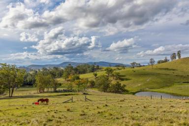 Farm For Sale - NSW - Dungog - 2420 - 'Cherry Tree'  (Image 2)