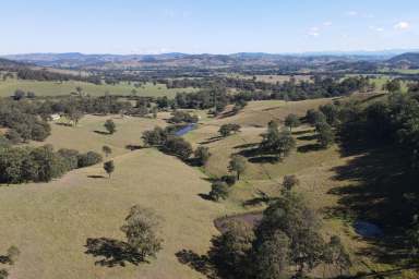 Farm For Sale - NSW - Dungog - 2420 - 'Cherry Tree'  (Image 2)