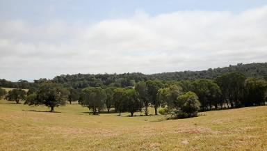 Farm Sold - QLD - Evelyn - 4888 - Land lots a land  (Image 2)