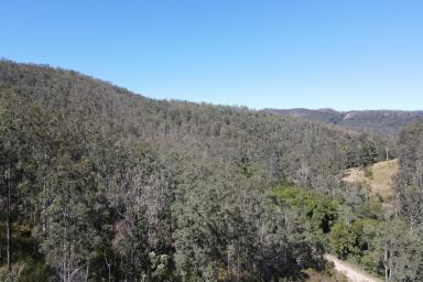 Farm Sold - NSW - Wards River - 2422 - Trees Lots of Trees  (Image 2)