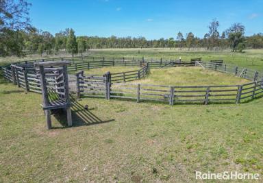 Farm For Sale - QLD - Darr Creek - 4410 - Affordable Breeder Block..  (Image 2)