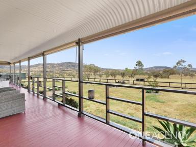 Farm Sold - NSW - Crawney - 2338 - Picturesque Lifestyle Property!  (Image 2)