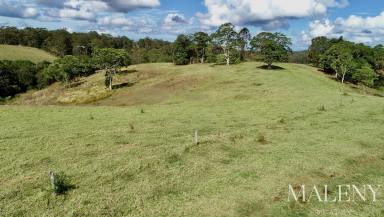 Farm For Sale - QLD - Witta - 4552 - Acreage Magnificence: 2 Titles, Multiple House Sites  (Image 2)