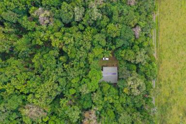 Farm Sold - QLD - Cow Bay - 4873 - PRICE REDUCED! Private 2.5 Acre Home in the Rainforest  (Image 2)