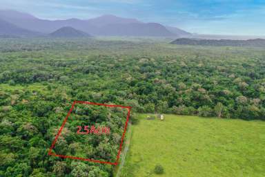 Farm Sold - QLD - Cow Bay - 4873 - PRICE REDUCED! Private 2.5 Acre Home in the Rainforest  (Image 2)