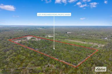 Farm For Sale - QLD - Pacific Haven - 4659 - YOUR TREE CHANGE AWAITS! 39 ACRES!  (Image 2)