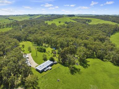 Farm For Sale - VIC - Buffalo - 3958 - "Windrows" Reconnect with nature in your own private bushland setting  (Image 2)