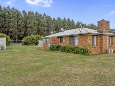 Farm For Sale - TAS - Trowutta - 7330 - Your New Home Awaits in a Rural Setting.  (Image 2)