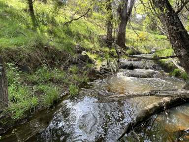 Farm Sold - NSW - Curraweela - 2580 - The True Escape, 96.2 Hectares Curraweela.  (Image 2)