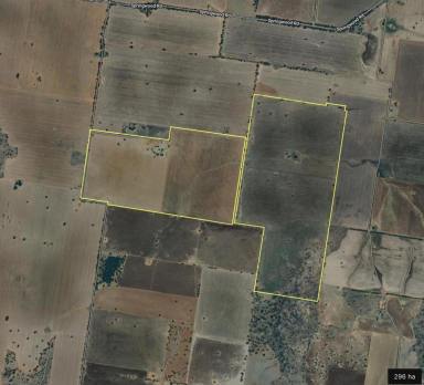 Farm For Sale - NSW - Berry Jerry - 2701 - 289ha - Productive Expansion Opportunity - Mains Water  (Image 2)