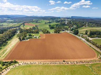 Farm For Sale - VIC - Gembrook - 3783 - High Quality Lifestyle Opportunity  (Image 2)