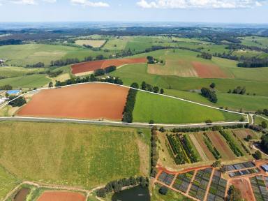 Farm For Sale - VIC - Gembrook - 3783 - High Quality Mixed Farming and Lifestyle Opportunity  (Image 2)