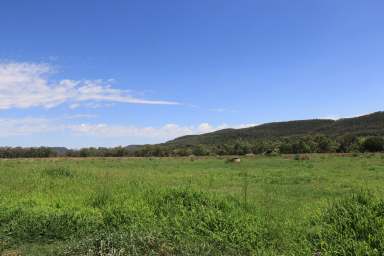 Farm For Sale - NSW - Bellata - 2397 - BALANCED GRAZING WITH BUILDING ENTITLEMENT & FEEDLOT AWAITS YOUR OWN INTENTIONS  (Image 2)