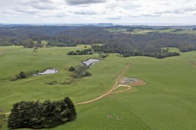 Farm For Sale - TAS - Calder - 7325 - Opportunity to secure prime agricultural land  (Image 2)