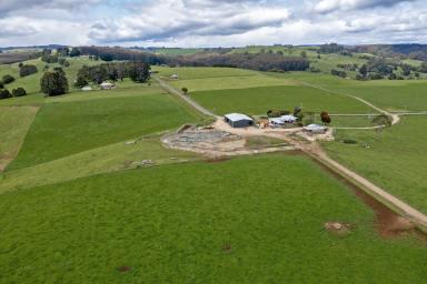 Farm For Sale - TAS - Oldina - 7325 - Secure this highly productive Farm  (Image 2)