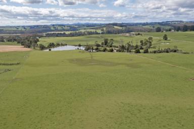 Farm For Sale - TAS - Oldina - 7325 - Secure this highly productive Farm  (Image 2)