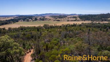 Farm Sold - NSW - Wambangalang - 2830 - An Affordable Rural Retreat  (Image 2)
