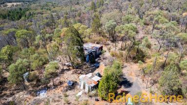 Farm Sold - NSW - Wambangalang - 2830 - An Affordable Rural Retreat  (Image 2)