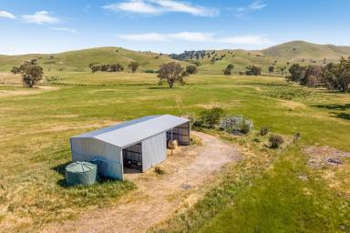 Farm Sold - VIC - Mount Lonarch - 3468 - 'Arthurs' 115 Ha (283 Ac approx.) Magnificent South Easterly aspect with panoramic views.  (Image 2)