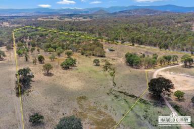 Farm For Sale - NSW - Bolivia - 2372 - Acreage with Spring Water.....  (Image 2)