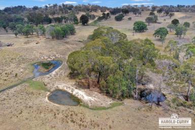 Farm For Sale - NSW - Bolivia - 2372 - Acreage with Spring Water.....  (Image 2)