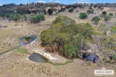 Farm Sold - NSW - Tenterfield - 2372 - Acreage with Spring Water.....  (Image 2)