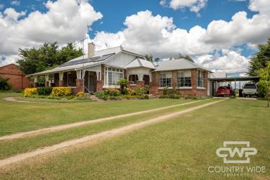 Farm Sold - NSW - Deepwater - 2371 - Retreat with Timeless Elegance and Sustainable Living  (Image 2)