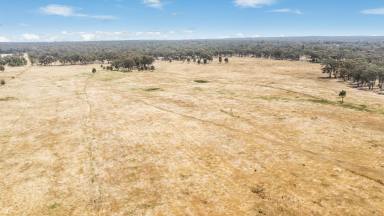 Farm For Sale - VIC - Huntly - 3551 - Opportunity Awaits - 97 Acres Huntly  (Image 2)