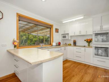 Farm Sold - TAS - Don - 7310 - Spacious Home on a Large Block Close to Town  (Image 2)