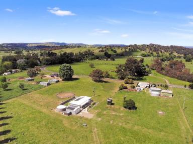 Farm For Sale - NSW - Tumut - 2720 - Prime Position!  (Image 2)