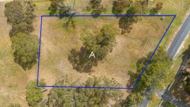 Farm For Sale - SA - Naracoorte - 5271 - Country vista on the edge of town  (Image 2)