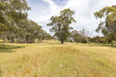 Farm For Sale - SA - Naracoorte - 5271 - Country vista on the edge of town  (Image 2)