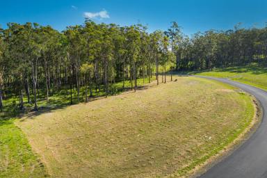 Farm Sold - NSW - Verges Creek - 2440 - East Edge Beauty!  (Image 2)