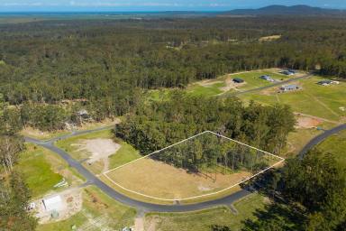 Farm Sold - NSW - Verges Creek - 2440 - East Edge Beauty!  (Image 2)