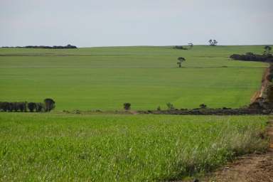 Farm For Sale - WA - Mount Walker - 6369 - Affordable Extra Land  (Image 2)