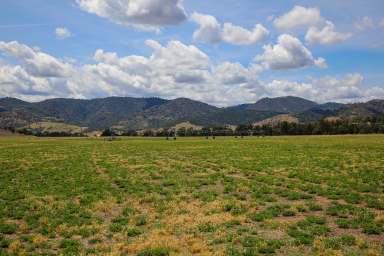 Farm For Sale - NSW - Manilla - 2346 - Combining Agriculture, Water & Natural capital  (Image 2)