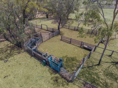 Farm Auction - QLD - Yarranlea - 4356 - 272 acres mixed farming 10 km to Pittsworth  (Image 2)