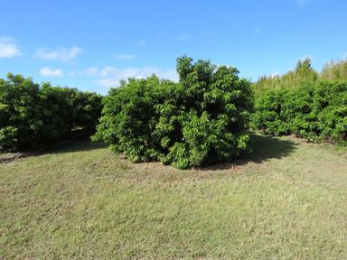 84 Pashleys Road, Welcome Creek QLD 4670