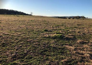 Farm Sold - nsw - Merriwa - 2329 - 12 Acres With Dwelling Entitlement  (Image 2)