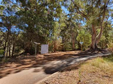 Farm For Sale - WA - Denmark - 6333 - 30.4 ACRES. OLD GROWTH KARRI. APPROVED SUBDIVISION  (Image 2)