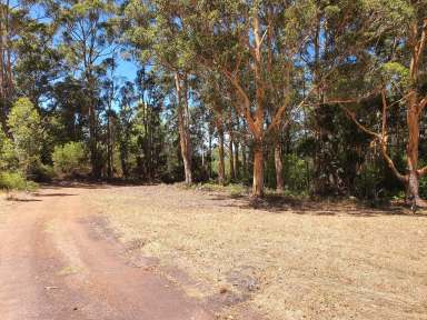 Farm For Sale - WA - Denmark - 6333 - 30.4 ACRES. OLD GROWTH KARRI. APPROVED SUBDIVISION  (Image 2)