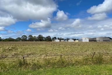 Farm For Sale - SA - Millicent - 5280 - Business Owners and Developers take note!  (Image 2)