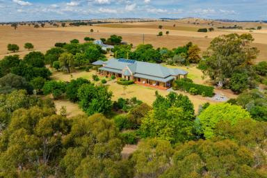 Farm For Sale - NSW - Wagga Wagga - 2650 - Argyle  (Image 2)