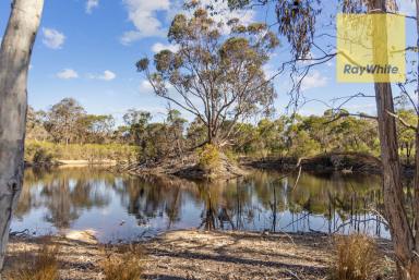 Farm Sold - NSW - Currawang - 2580 - 333 Acres Of Complete Private Bushland  (Image 2)