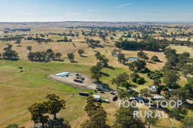 Farm Sold - SA - Mount Pleasant - 5235 - Historic Charm Meets Country Serenity in Mt. Pleasant  (Image 2)