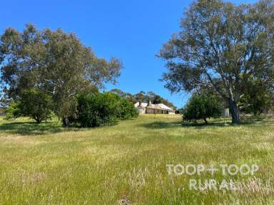 Farm Sold - SA - Mount Pleasant - 5235 - Historic Charm Meets Country Serenity in Mt. Pleasant  (Image 2)