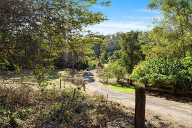 Farm Sold - NSW - Ashby - 2463 - Natural 20 Acres In Yamba Hinterland  (Image 2)